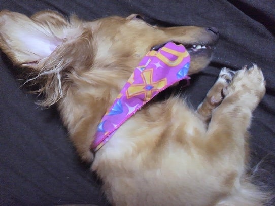 鉄　は　熱　い　う　ち　に　打　て　　　　　　(*ﾟ∀ﾟ)=3ﾑｯﾊｰ