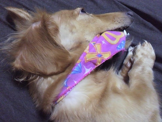 鉄　は　熱　い　う　ち　に　打　て　　　　　　(*ﾟ∀ﾟ)=3ﾑｯﾊｰ