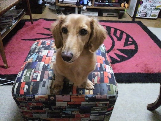 鉄　は　熱　い　う　ち　に　打　て　　　　(*ﾟ∀ﾟ)=3ﾑｯﾊｰ