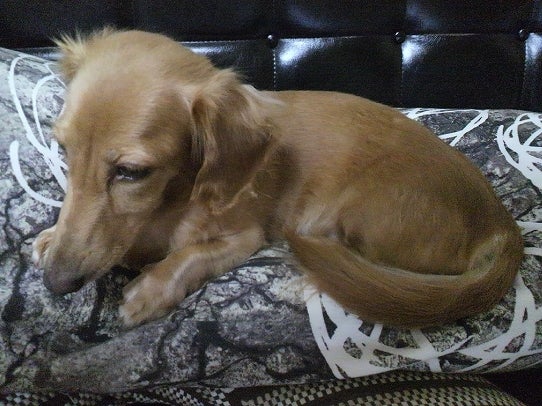 鉄　は　熱　い　う　ち　に　打　て　　　　(*ﾟ∀ﾟ)=3ﾑｯﾊｰ