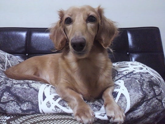 鉄　は　熱　い　う　ち　に　打　て　　　　(*ﾟ∀ﾟ)=3ﾑｯﾊｰ