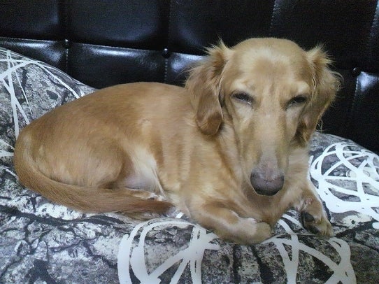 鉄　は　熱　い　う　ち　に　打　て　　　　(*ﾟ∀ﾟ)=3ﾑｯﾊｰ