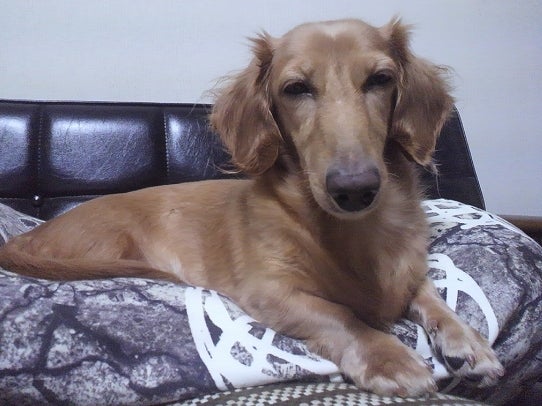 鉄　は　熱　い　う　ち　に　打　て　　　　(*ﾟ∀ﾟ)=3ﾑｯﾊｰ