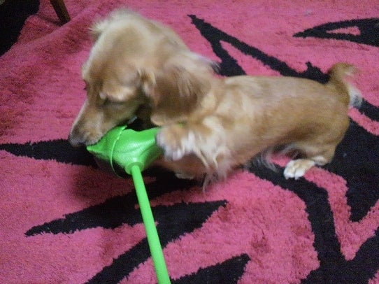 鉄　は　熱　い　う　ち　に　打　て　　　　(*ﾟ∀ﾟ)=3ﾑｯﾊｰ