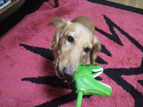 鉄　は　熱　い　う　ち　に　打　て　　　　(*ﾟ∀ﾟ)=3ﾑｯﾊｰ