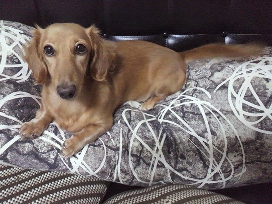 鉄　は　熱　い　う　ち　に　打　て　　　　(*ﾟ∀ﾟ)=3ﾑｯﾊｰ