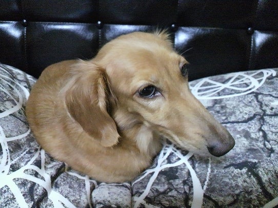 鉄　は　熱　い　う　ち　に　打　て　　　　(*ﾟ∀ﾟ)=3ﾑｯﾊｰ