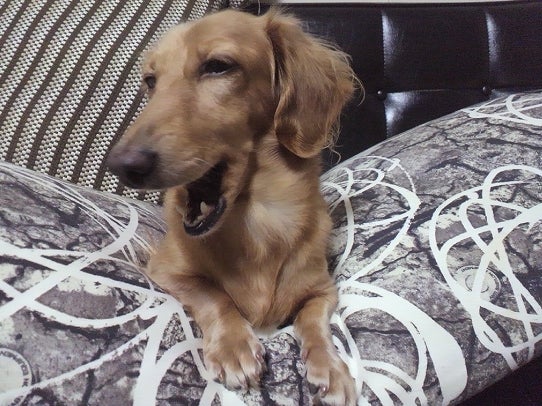 鉄　は　熱　い　う　ち　に　打　て　　　　(*ﾟ∀ﾟ)=3ﾑｯﾊｰ