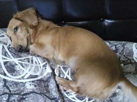 鉄　は　熱　い　う　ち　に　打　て　　　　(*ﾟ∀ﾟ)=3ﾑｯﾊｰ