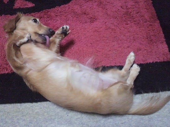 鉄　は　熱　い　う　ち　に　打　て　　　　(*ﾟ∀ﾟ)=3ﾑｯﾊｰ