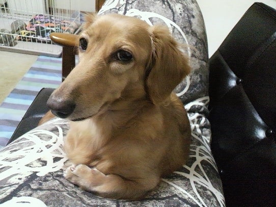 鉄　は　熱　い　う　ち　に　打　て　　　　(*ﾟ∀ﾟ)=3ﾑｯﾊｰ