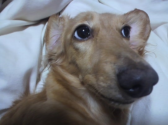 鉄　は　熱　い　う　ち　に　打　て　　　　(*ﾟ∀ﾟ)=3ﾑｯﾊｰ