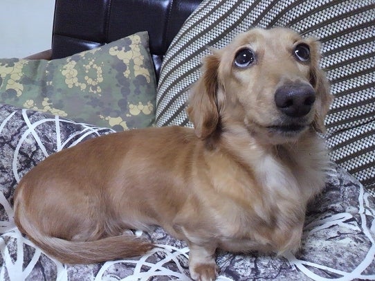 鉄　は　熱　い　う　ち　に　打　て　　　　(*ﾟ∀ﾟ)=3ﾑｯﾊｰ