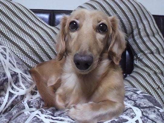 鉄　は　熱　い　う　ち　に　打　て　　　　(*ﾟ∀ﾟ)=3ﾑｯﾊｰ