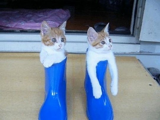 鉄　は　熱　い　う　ち　に　打　て　　　　(*ﾟ∀ﾟ)=3ﾑｯﾊｰ