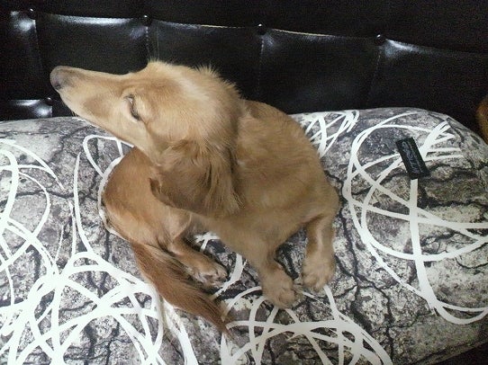 鉄　は　熱　い　う　ち　に　打　て　　　　(*ﾟ∀ﾟ)=3ﾑｯﾊｰ