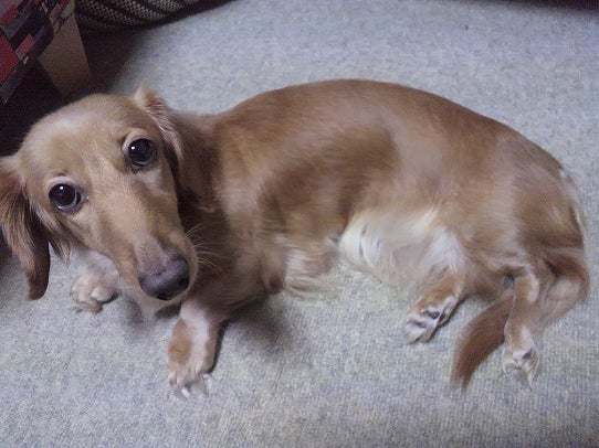 鉄　は　熱　い　う　ち　に　打　て　　　　(*ﾟ∀ﾟ)=3ﾑｯﾊｰ