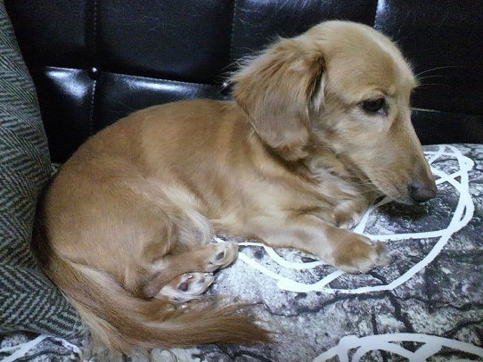 鉄　は　熱　い　う　ち　に　打　て　　　　(*ﾟ∀ﾟ)=3ﾑｯﾊｰ