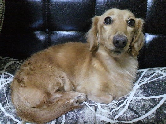 鉄　は　熱　い　う　ち　に　打　て　　　　(*ﾟ∀ﾟ)=3ﾑｯﾊｰ