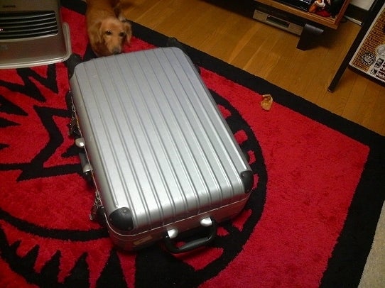 鉄　は　熱　い　う　ち　に　打　て　　　　(*ﾟ∀ﾟ)=3ﾑｯﾊｰ