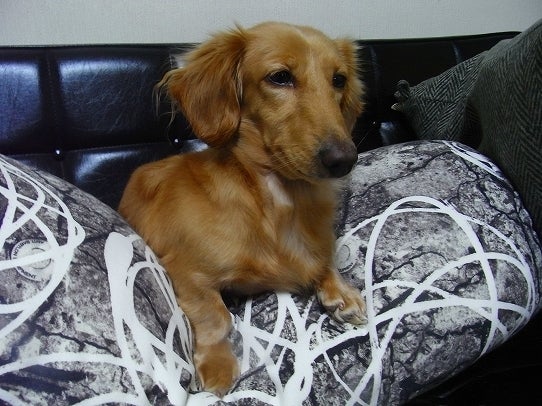 鉄　は　熱　い　う　ち　に　打　て　　　　(*ﾟ∀ﾟ)=3ﾑｯﾊｰ