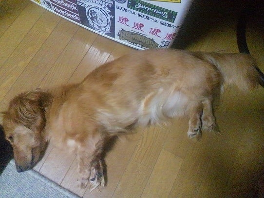 鉄　は　熱　い　う　ち　に　打　て　　　　(*ﾟ∀ﾟ)=3ﾑｯﾊｰ