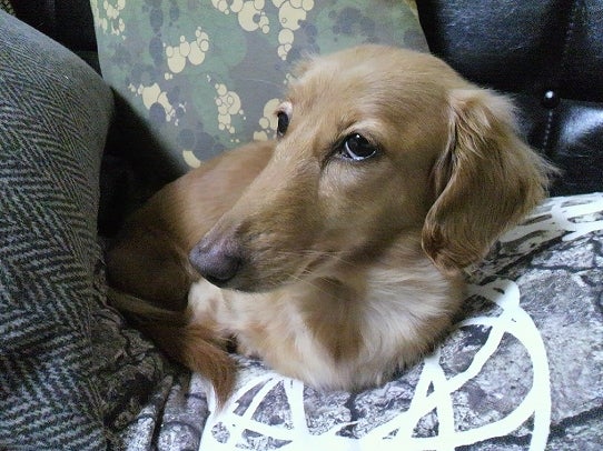 鉄　は　熱　い　う　ち　に　打　て　　　　(*ﾟ∀ﾟ)=3ﾑｯﾊｰ