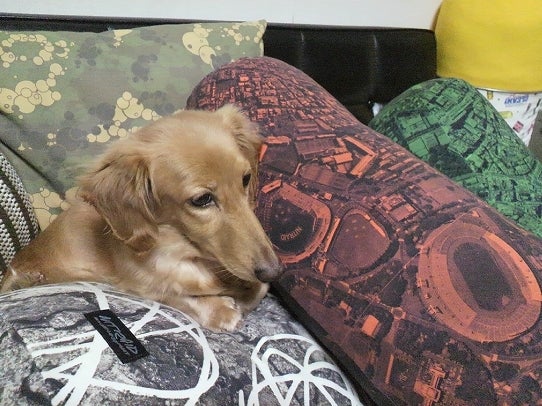 鉄　は　熱　い　う　ち　に　打　て　　　　(*ﾟ∀ﾟ)=3ﾑｯﾊｰ