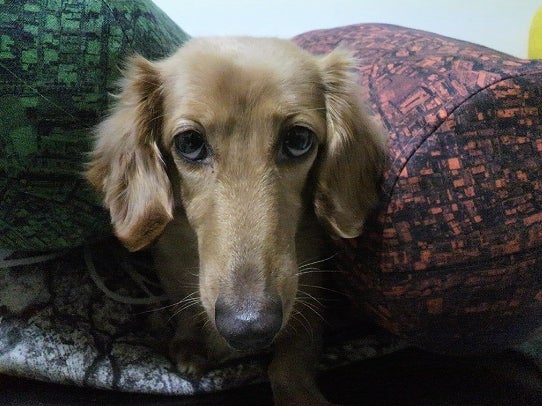 鉄　は　熱　い　う　ち　に　打　て　　　　(*ﾟ∀ﾟ)=3ﾑｯﾊｰ