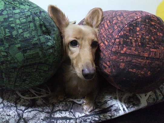 鉄　は　熱　い　う　ち　に　打　て　　　　(*ﾟ∀ﾟ)=3ﾑｯﾊｰ