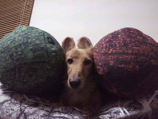 鉄　は　熱　い　う　ち　に　打　て　　　　(*ﾟ∀ﾟ)=3ﾑｯﾊｰ