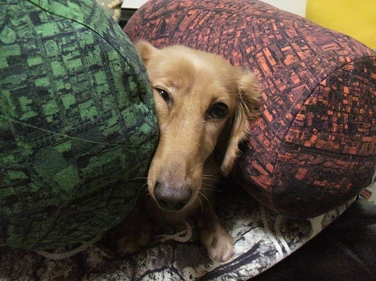 鉄　は　熱　い　う　ち　に　打　て　　　　(*ﾟ∀ﾟ)=3ﾑｯﾊｰ