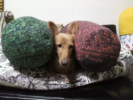 鉄　は　熱　い　う　ち　に　打　て　　　　(*ﾟ∀ﾟ)=3ﾑｯﾊｰ