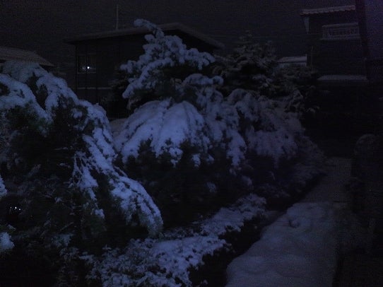 鉄　は　熱　い　う　ち　に　打　て　　　　(*ﾟ∀ﾟ)=3ﾑｯﾊｰ