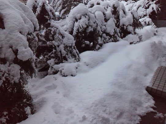 鉄　は　熱　い　う　ち　に　打　て　　　　(*ﾟ∀ﾟ)=3ﾑｯﾊｰ