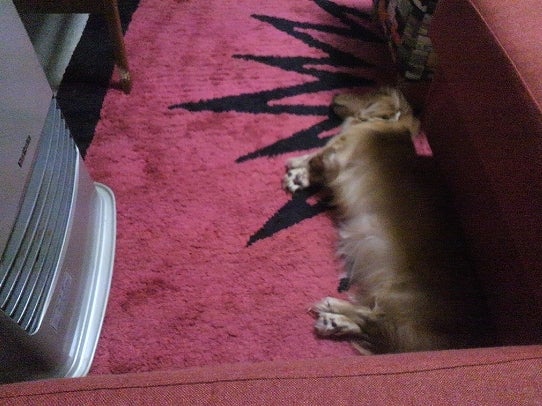 鉄　は　熱　い　う　ち　に　打　て　　　　(*ﾟ∀ﾟ)=3ﾑｯﾊｰ