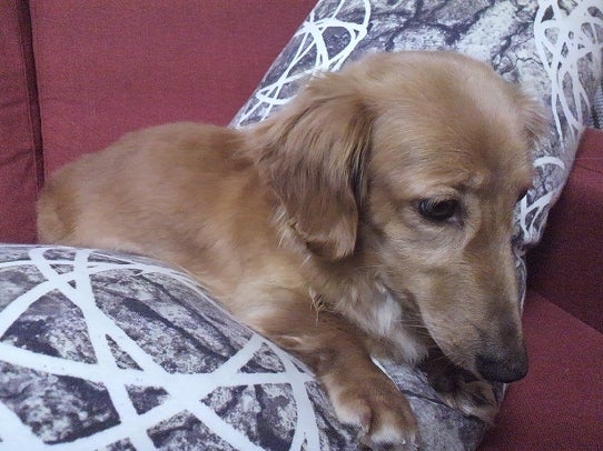 鉄　は　熱　い　う　ち　に　打　て　　　　(*ﾟ∀ﾟ)=3ﾑｯﾊｰ