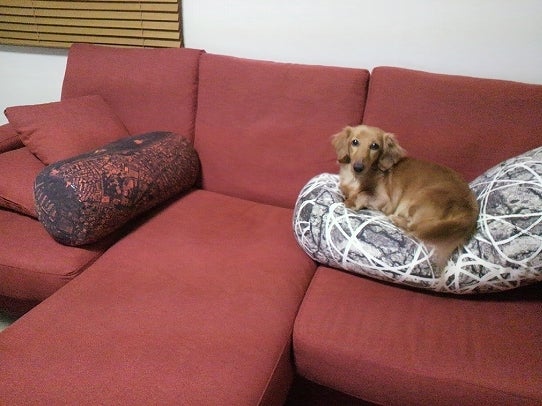 鉄　は　熱　い　う　ち　に　打　て　　　　(*ﾟ∀ﾟ)=3ﾑｯﾊｰ