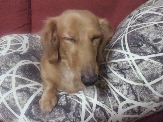 鉄　は　熱　い　う　ち　に　打　て　　　　(*ﾟ∀ﾟ)=3ﾑｯﾊｰ