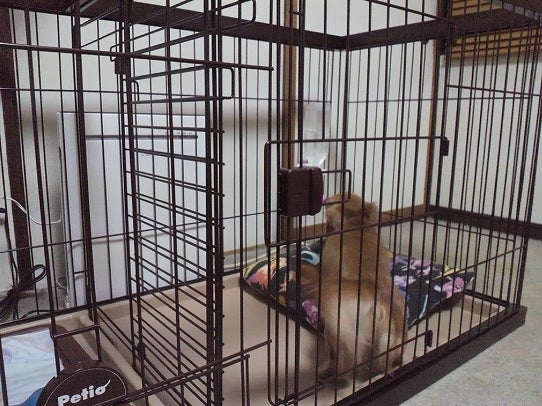 鉄　は　熱　い　う　ち　に　打　て　　　　(*ﾟ∀ﾟ)=3ﾑｯﾊｰ