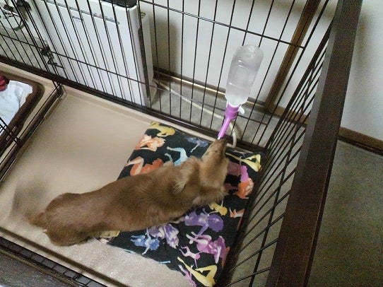 鉄　は　熱　い　う　ち　に　打　て　　　　(*ﾟ∀ﾟ)=3ﾑｯﾊｰ