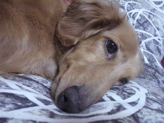 鉄　は　熱　い　う　ち　に　打　て　　　　(*ﾟ∀ﾟ)=3ﾑｯﾊｰ