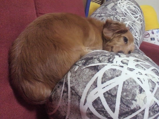 鉄　は　熱　い　う　ち　に　打　て　　　　(*ﾟ∀ﾟ)=3ﾑｯﾊｰ