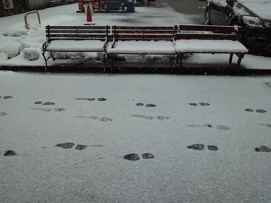 鉄　は　熱　い　う　ち　に　打　て　　　　(*ﾟ∀ﾟ)=3ﾑｯﾊｰ