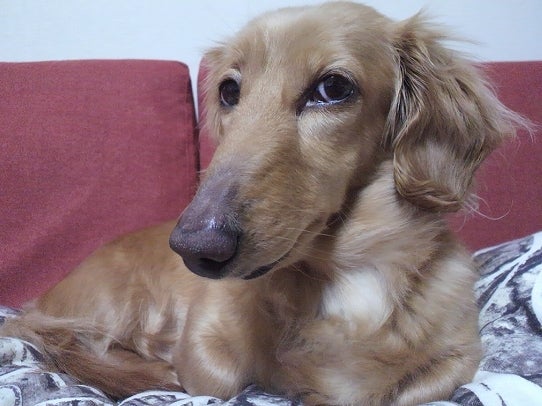 鉄　は　熱　い　う　ち　に　打　て　　　　(*ﾟ∀ﾟ)=3ﾑｯﾊｰ