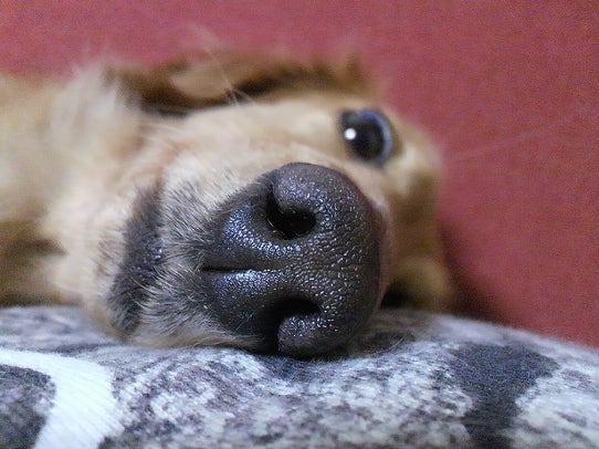 鉄　は　熱　い　う　ち　に　打　て　　　　(*ﾟ∀ﾟ)=3ﾑｯﾊｰ