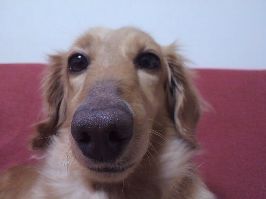 鉄　は　熱　い　う　ち　に　打　て　　　　(*ﾟ∀ﾟ)=3ﾑｯﾊｰ