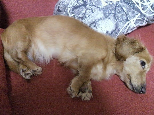 鉄　は　熱　い　う　ち　に　打　て　　　　(*ﾟ∀ﾟ)=3ﾑｯﾊｰ