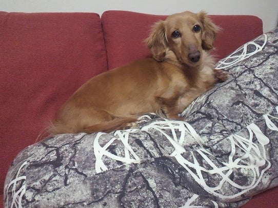 鉄　は　熱　い　う　ち　に　打　て　　　　(*ﾟ∀ﾟ)=3ﾑｯﾊｰ