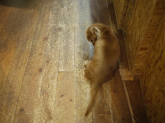 鉄　は　熱　い　う　ち　に　打　て　　　　(*ﾟ∀ﾟ)=3ﾑｯﾊｰ